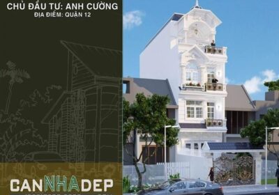 Anh Cường Q12