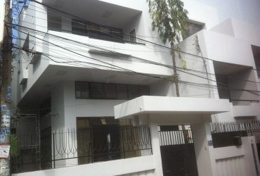 Cải tại biệt thự Anh Hòa Bình Thạnh
