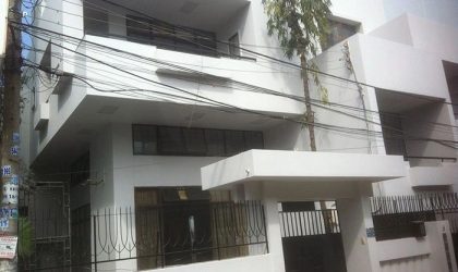 Cải tại biệt thự Anh Hòa Bình Thạnh