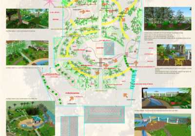 Thiết kế sân vườn – Tiền Giang