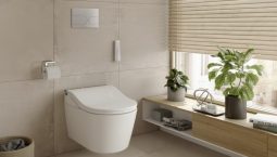 Các loại bồn cầu phổ thông trên thị trường